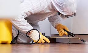 Best Pest Prevention Services  in Bon Aqua Junction, TN